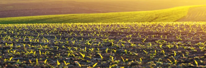 Qué es la agricultura ecológica